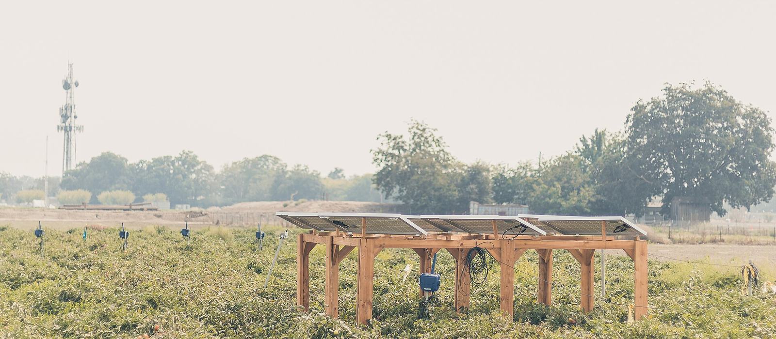 Crops growing in rows beneath raised solar panels — agrivoltaics, where one piece of land produces both food and power